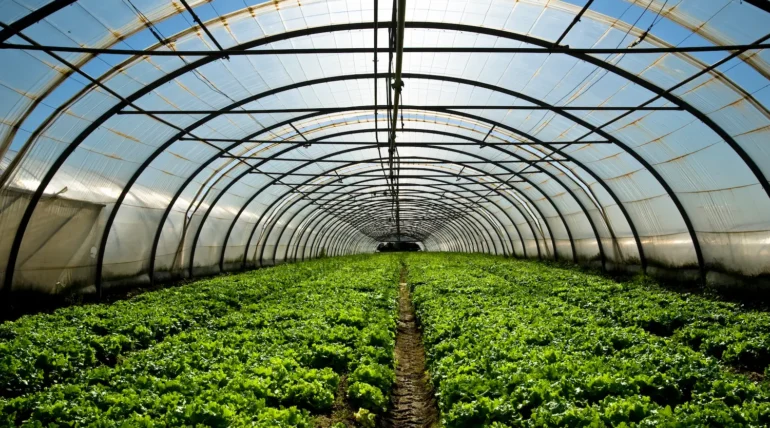 profile plastique agriculture