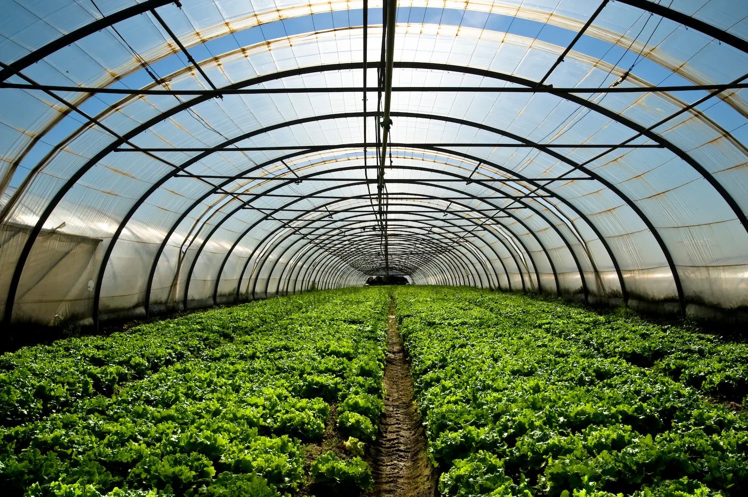 profile plastique agriculture